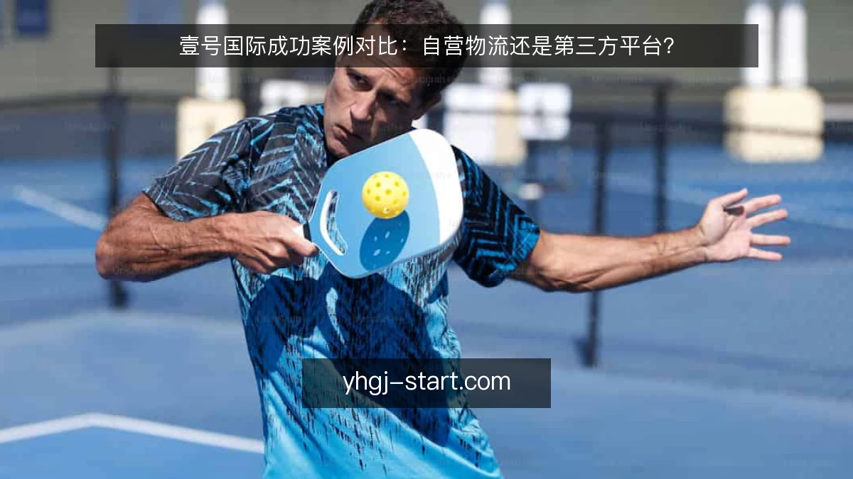 壹号国际成功案例对比：自营物流还是第三方平台？