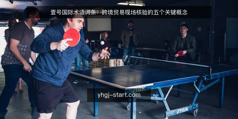 壹号国际术语词条：跨境贸易现场核验的五个关键概念 — 信号词条：现场核验的观察指标 配图