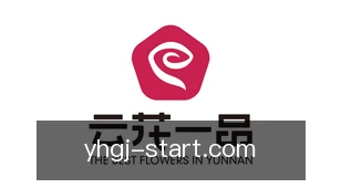 壹号国际